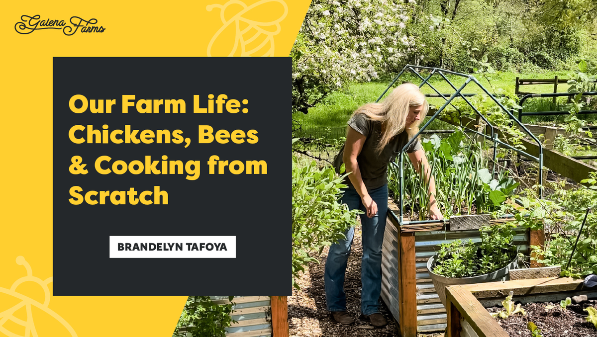 Image result for Beekeeping & Homesteading with Brandelyn Tafoya - Galena Farms