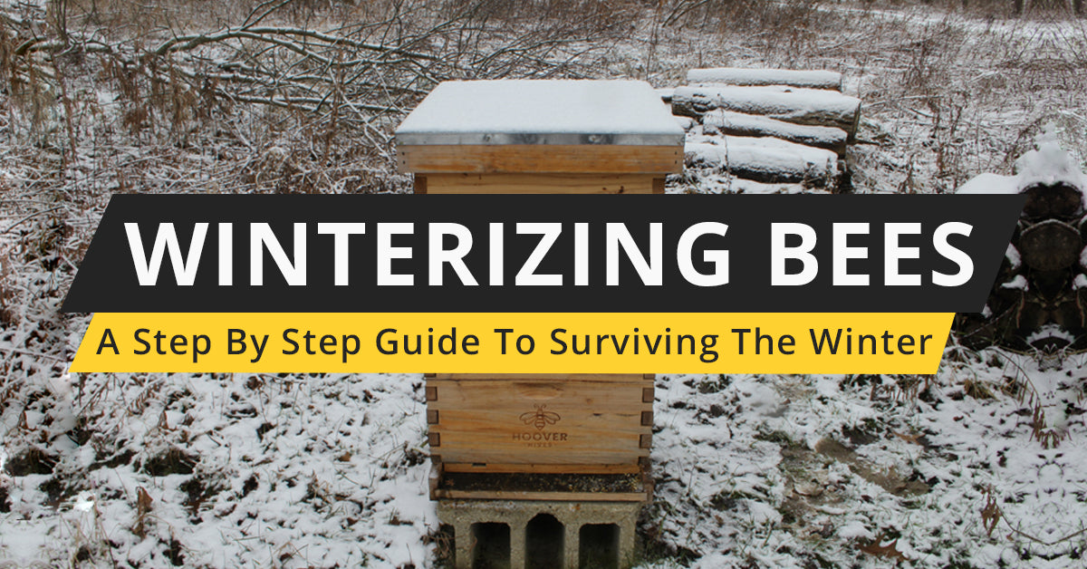 The Ultimate Guide to Winterizing Your Bees – Galena Farms