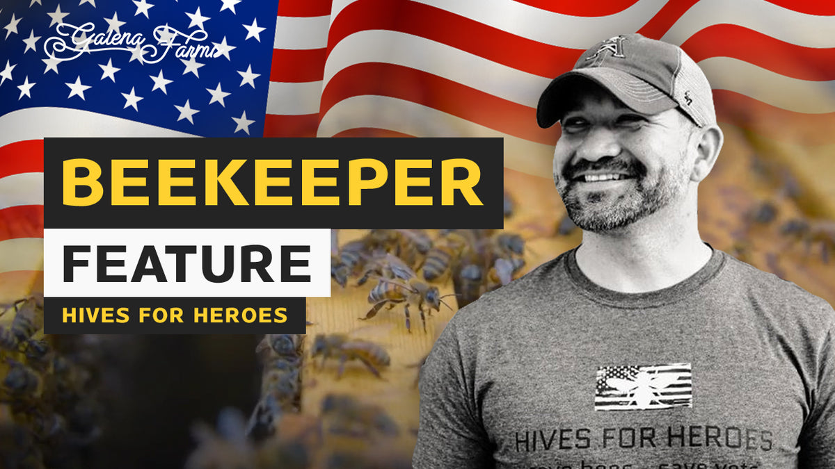 Hives for Heroes and the Healing Power of Beekeeping with Steve Jimene ...