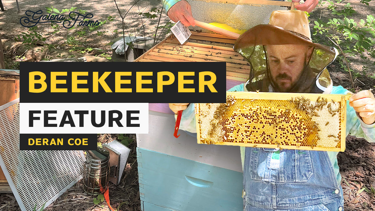 Beekeeping in Raleigh A Journey of Growth and Learning with Deran Coe