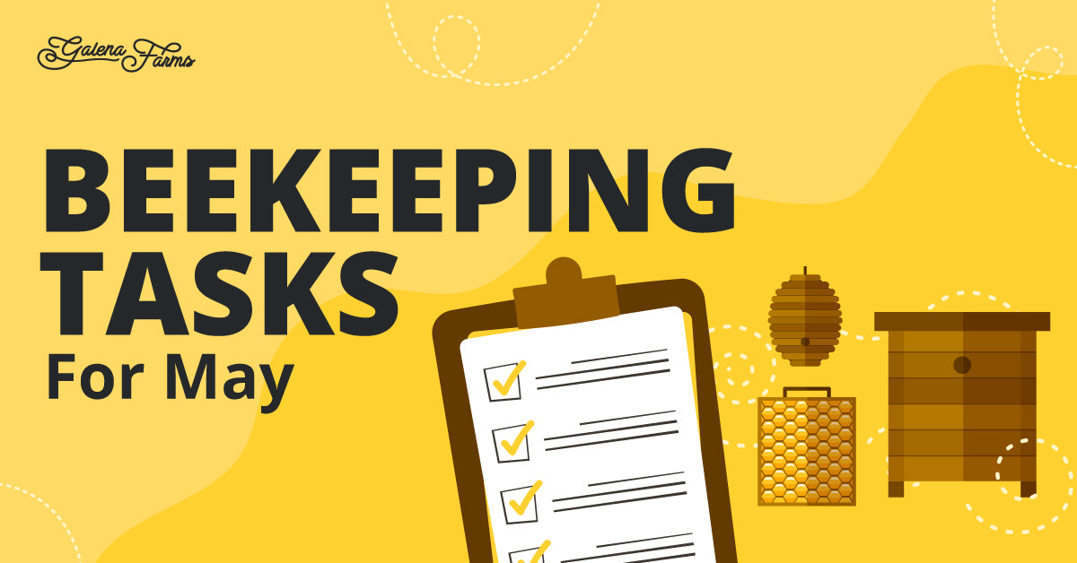 Bee Task Beekeeping Tasks for May – Galena Farms