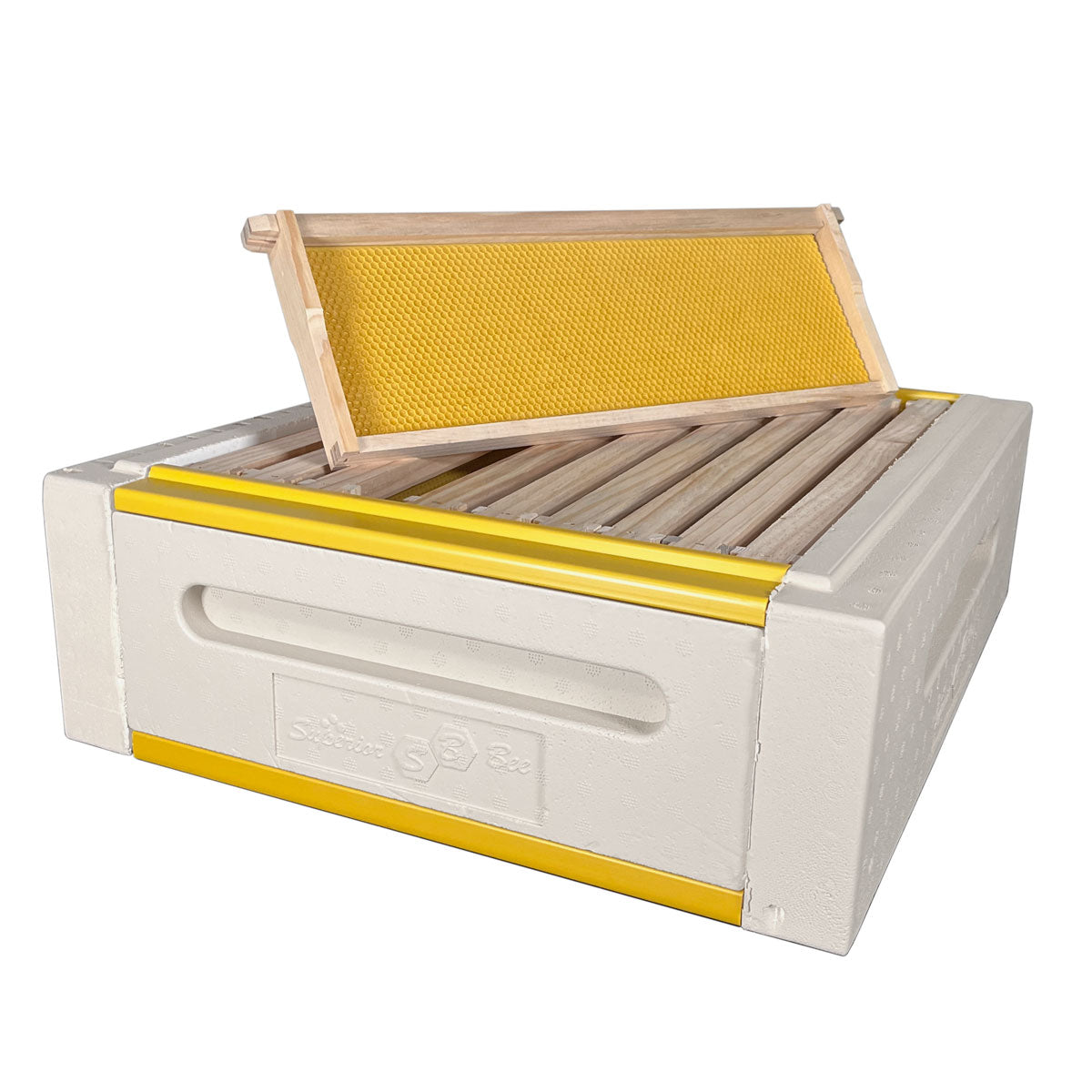 Painted Poly 10 Frame Beehive - (1)Deep & (1)Medium