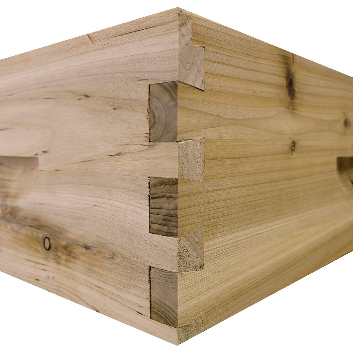 8 Frame Medium Super Box w/ Dovetail Joints (Unassembled w/ Frames and Foundations)