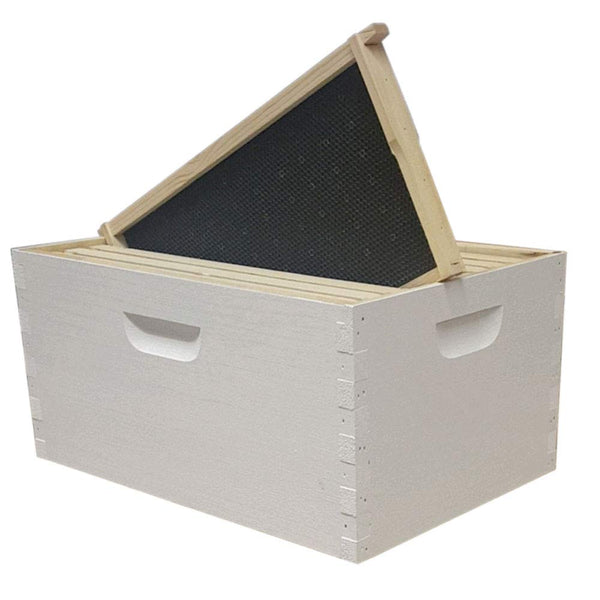 8 Frame Langstroth Amish-Made Deep Brood Box (Painted and Assembled)