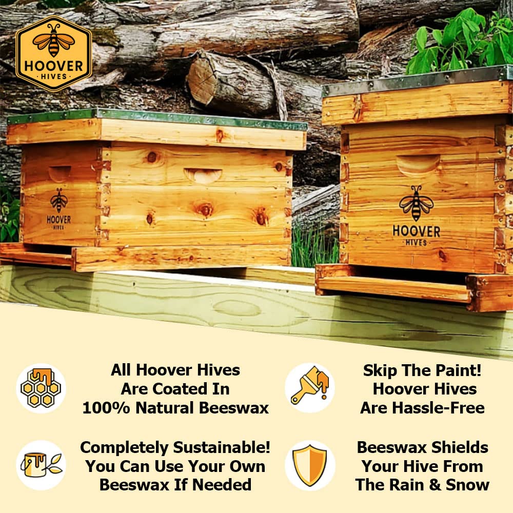 Wax-Coated 10 Frame Beehive - (2)Deeps & (1)Medium