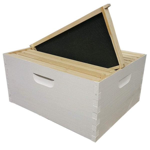 10 Frame Deep Brood Box Made in USA (Painted and Assembled w/ Frames and Foundations)