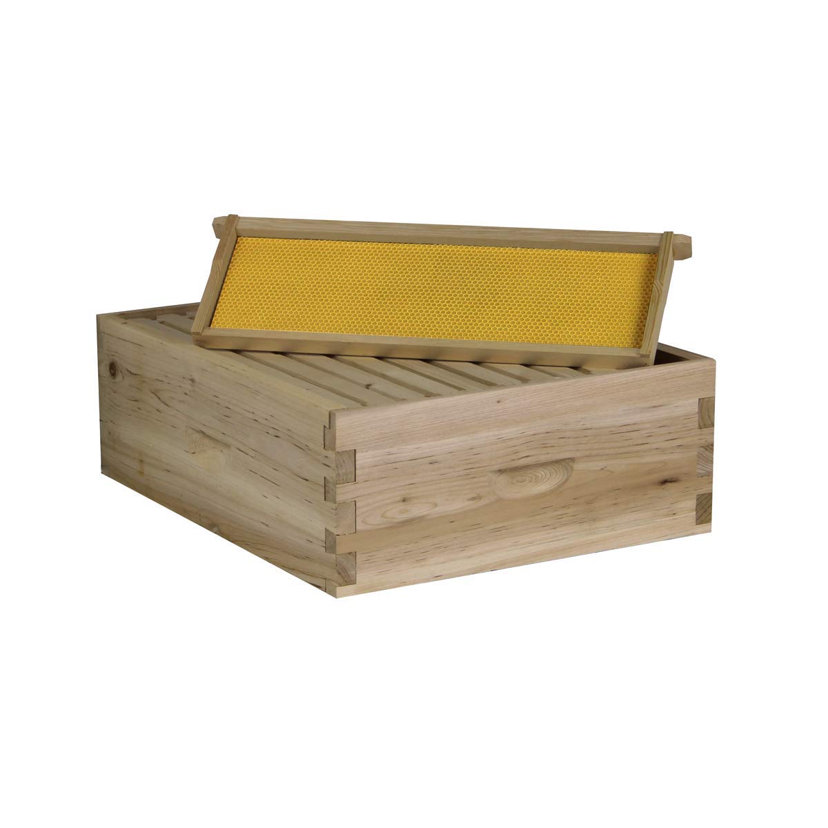 Single Deep Bee Box NuBee 10 Frame Full Bee Hive - 1 Deep Brood Box & 1 Medium Bee Box ...