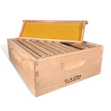 Tablecraft Beehive Set Saliera E Pepiera In Vetro: 170g Cad., Design Alveare, Tappo Cromato, Apertura Ampia Per Ricarica - 2