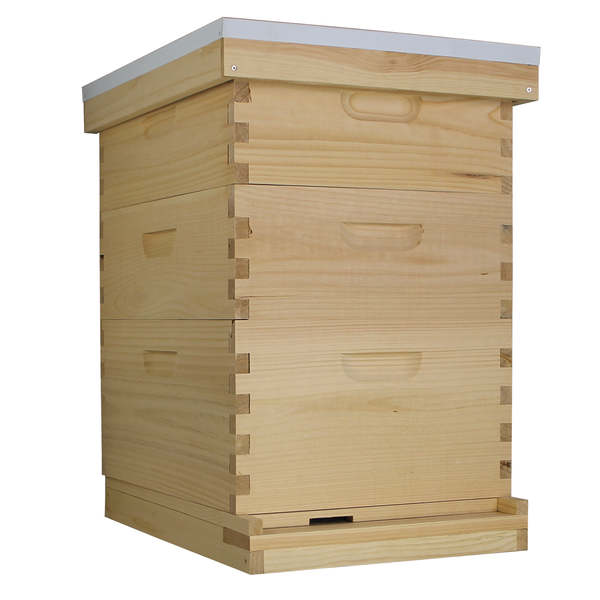 Busy Bees 'N' More Amish Made 10 Frame Beehive With 1 Deep Bee Box & 2 Medium Bee Boxes