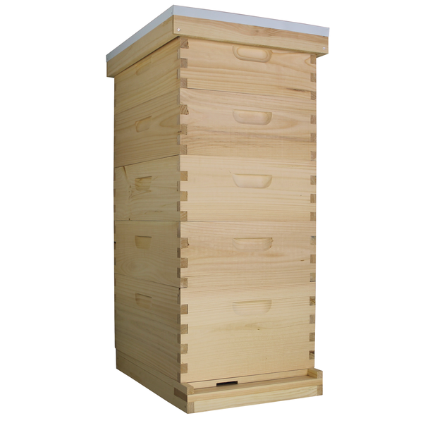 Busy Bees 'N' More Amish Made 10 Frame Beehive With 1 Deep Bee Box & 4 Medium Bee Boxes