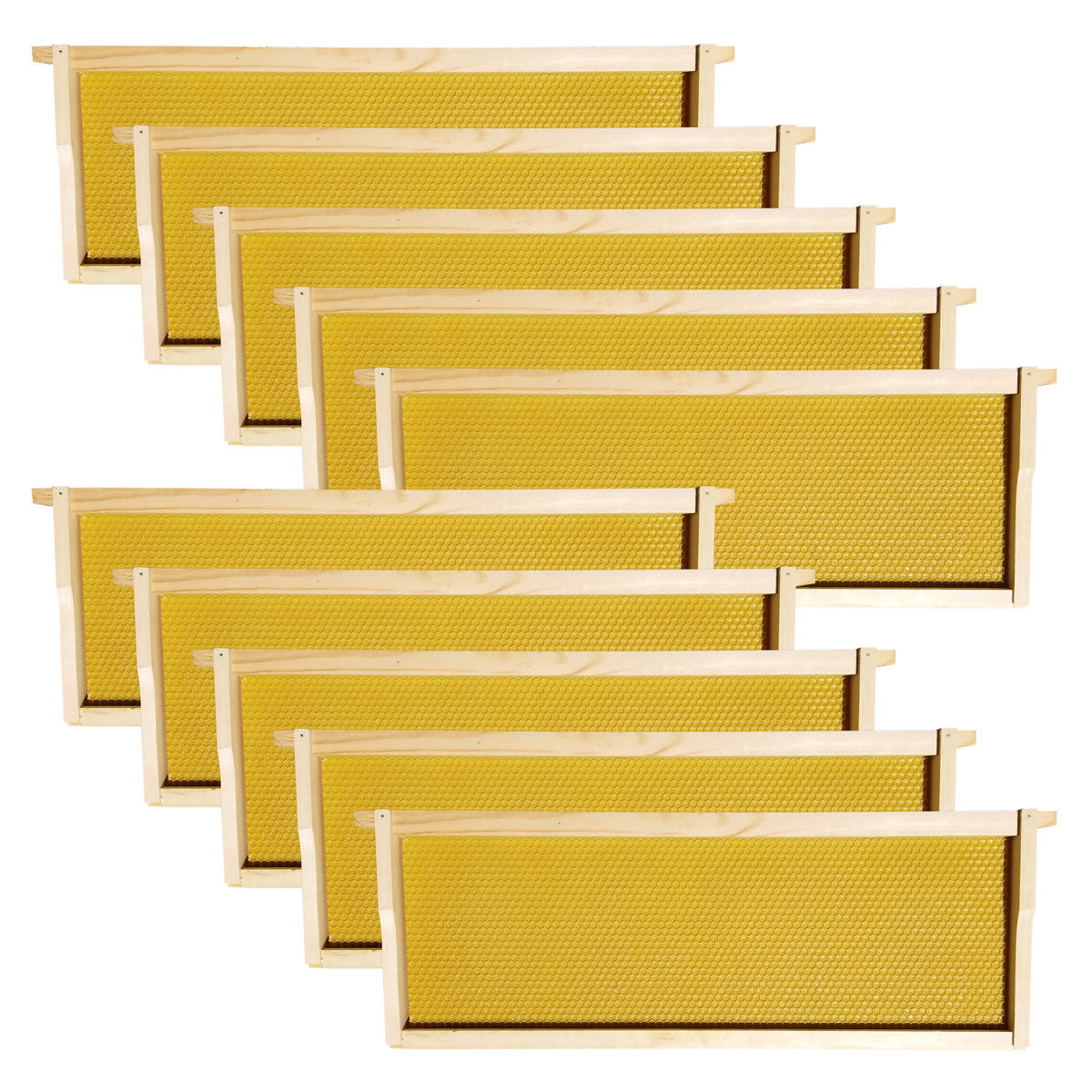 10 Cell Tech Medium Frames With Honey Colored Foundations To Help Inspect Honey In Cells
