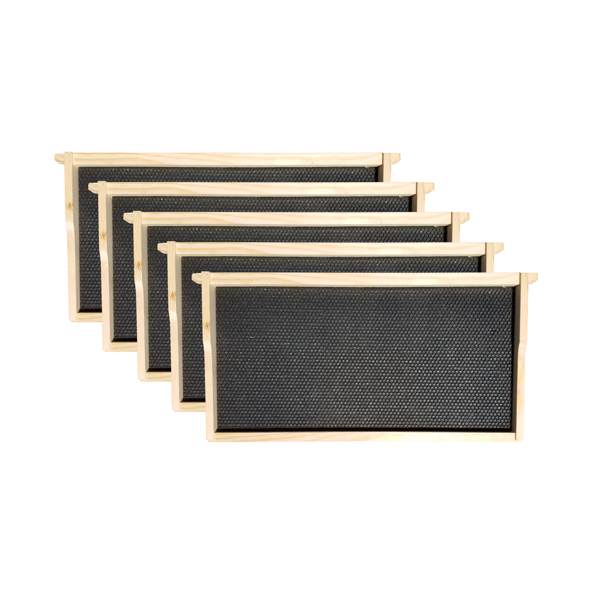 Busy Bees 'N' More 10 Frame Full Hive - 1 Deep Brood Box Starter Kit ...