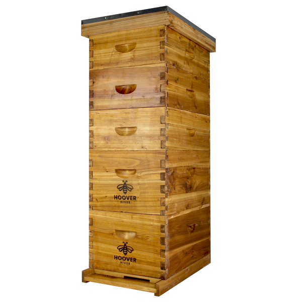 Hoover Hives Wax Coated 8 Frame Beehive With 2 Deep Bee Boxes & 3 Medium Bee Boxes