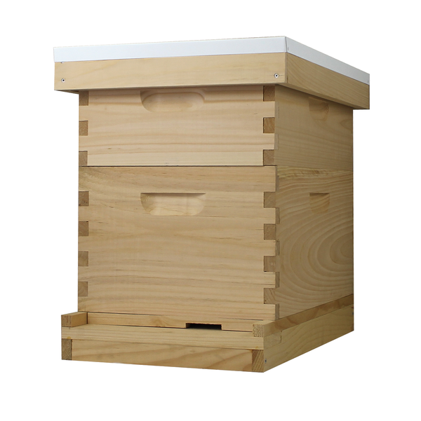 Busy Bees 'N' More Amish Made 8 Frame Beehive With 1 Deep Bee Box & 1 Medium Bee Box