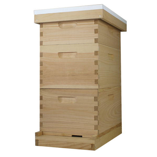 8-Frame Beehive Kit – Unassembled 2 Deeps & 1 Medium | Amish-Made