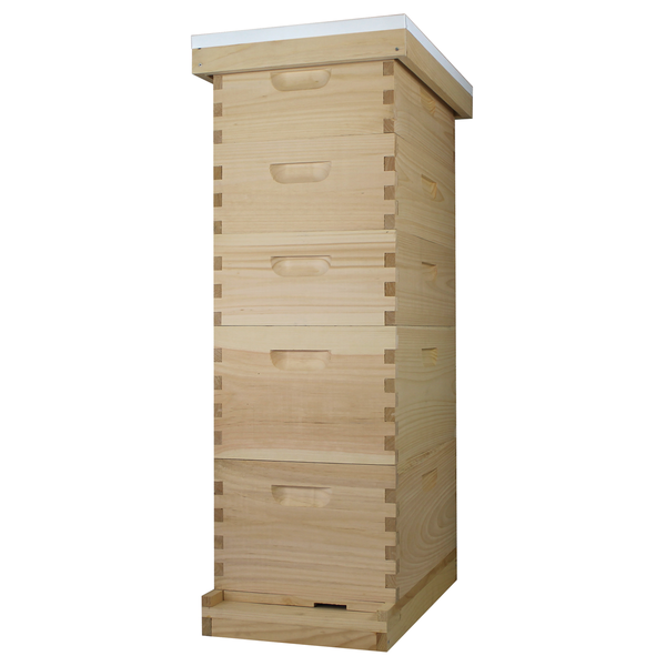 Busy Bees 'N' More 8 Frame Full Hive - 2 Deep Boxes & 3