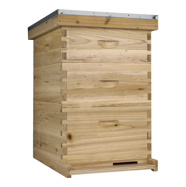 NuBee 10 Frame Beehive With 1 Deep Bee Box & 2 Medium Bee Boxes