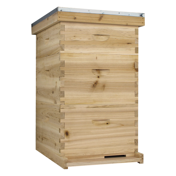 NuBee 10 Frame Beehive With 2 Deep Bee Boxes & 1 Medium Bee Box