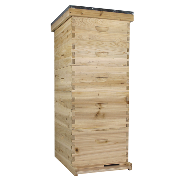 NuBee 10 Frame Beehive With 2 Deep Bee Boxes & 3 Medium Bee Boxes
