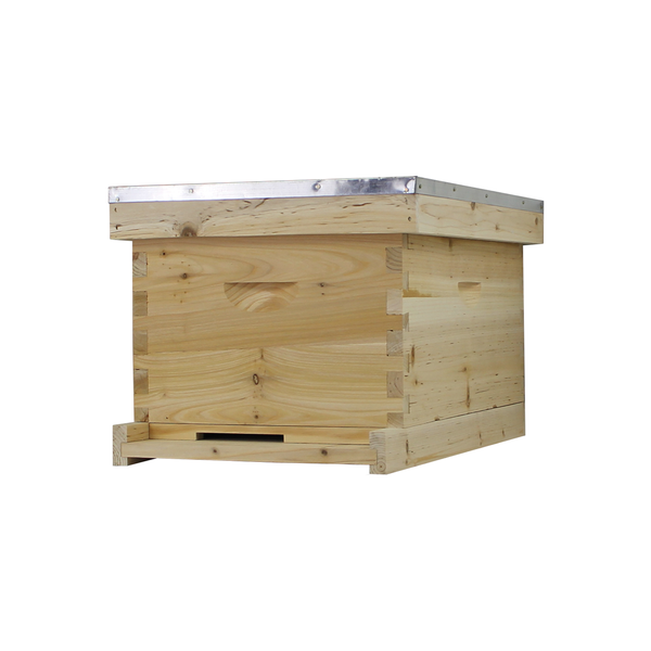 NuBee 8 Frame Beehive With 1 Deep Bee Box & 0 Medium Bee Boxes