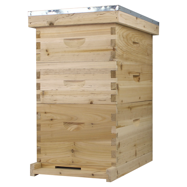 NuBee 8 Frame Beehive With 1 Deep Bee Box & 2 Medium Bee Boxes