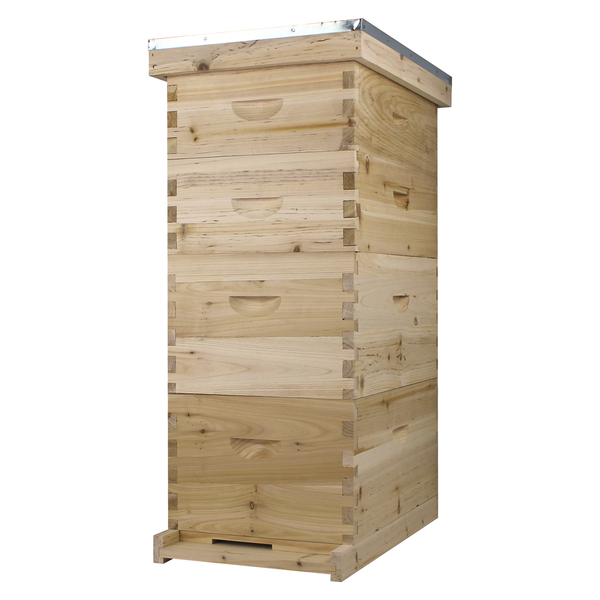 BEE-HIVE フライヤー他　全4点 NuBee 8 Frame Full Bee Hive - 2 Deep Brood Boxes & 2 Medium Bee