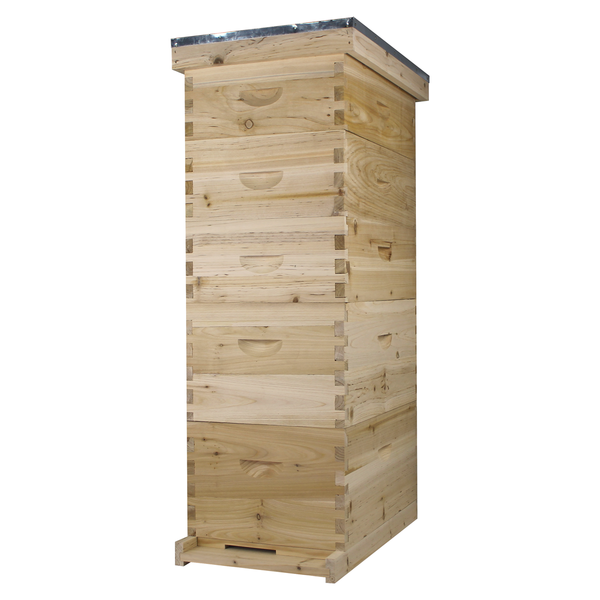 NuBee 8 Frame Beehive With 2 Deep Bee Boxes & 3 Medium Bee Boxes