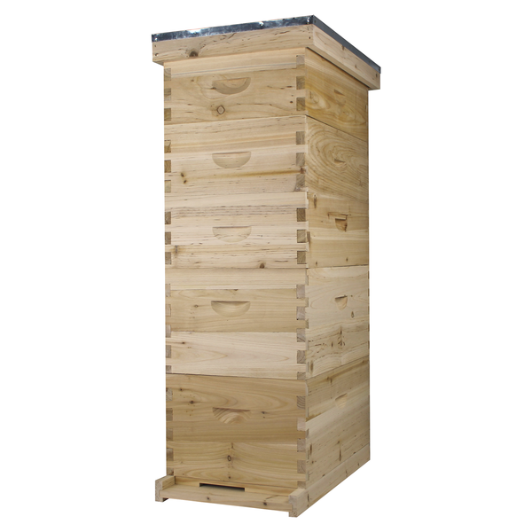 BEE-HIVE フライヤー他　全4点 NuBee 8 Frame Full Bee Hive - 2 Deep Brood Boxes & 3 Medium Bee