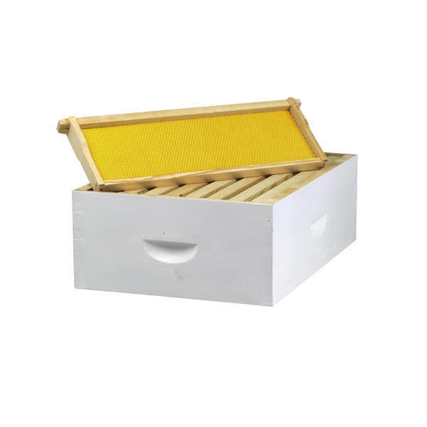Busy Bees 'N' More Amish Made 8 Frame Painted & Assembled Medium Honey Super Box With Frames & Foundations